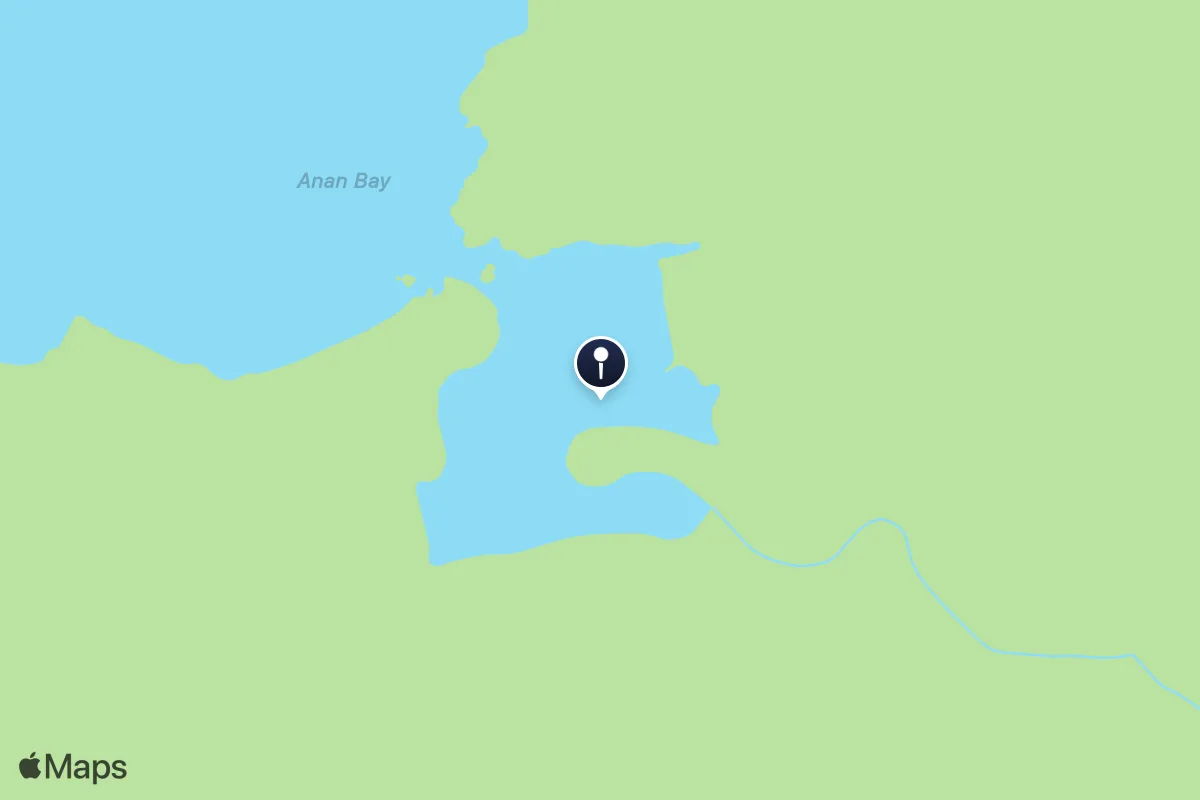 Anan Wildlife Observatory – Wrangell, Alaska | Spottos